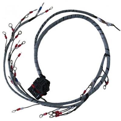 Automotive wiring harness